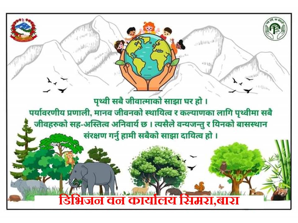 डिभिजन वन कार्यालय सिमरा  बाराको सूचना