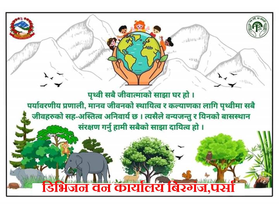 डिभिजन वन कार्यालय बिरगंज पर्साको सुचना