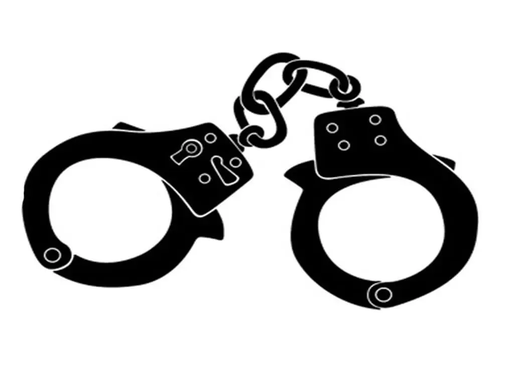 चोरीका घटनामा संलग्न भारतीय नागरिक पक्राउ