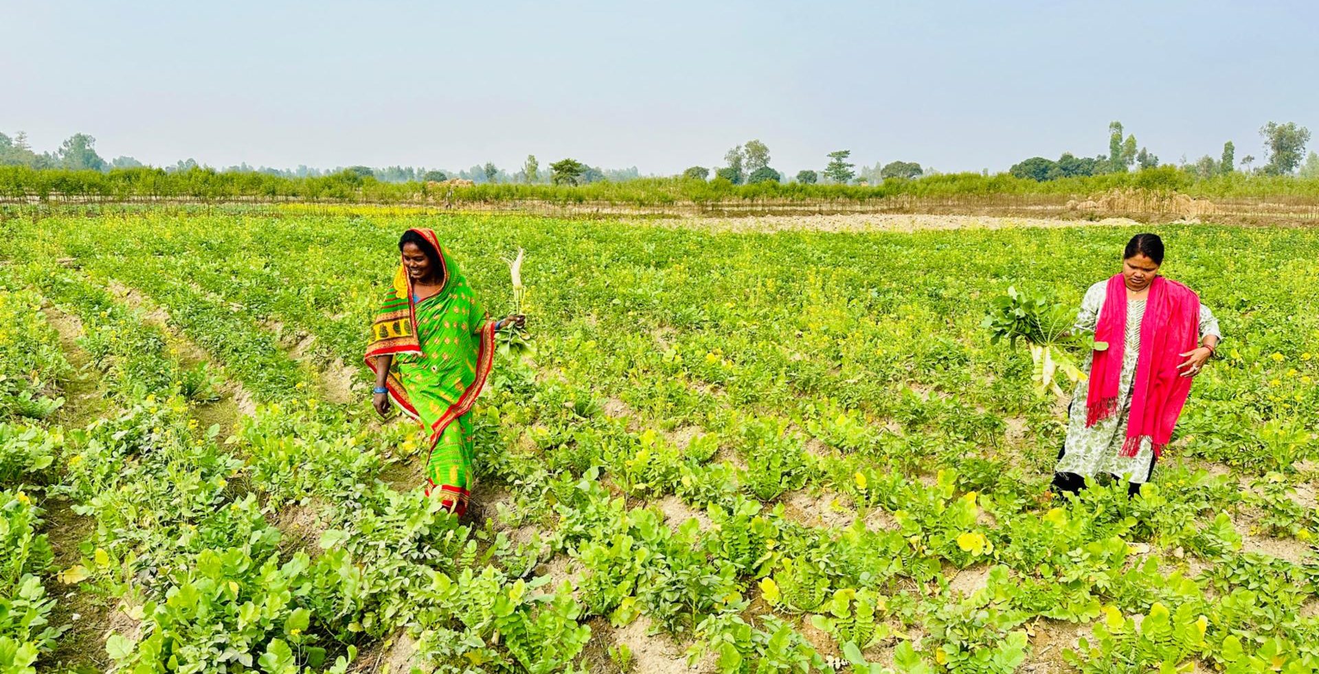 सामूहिक खेतीगरी आत्मनिर्भर बन्दै सिसवोनीका दलित महिला